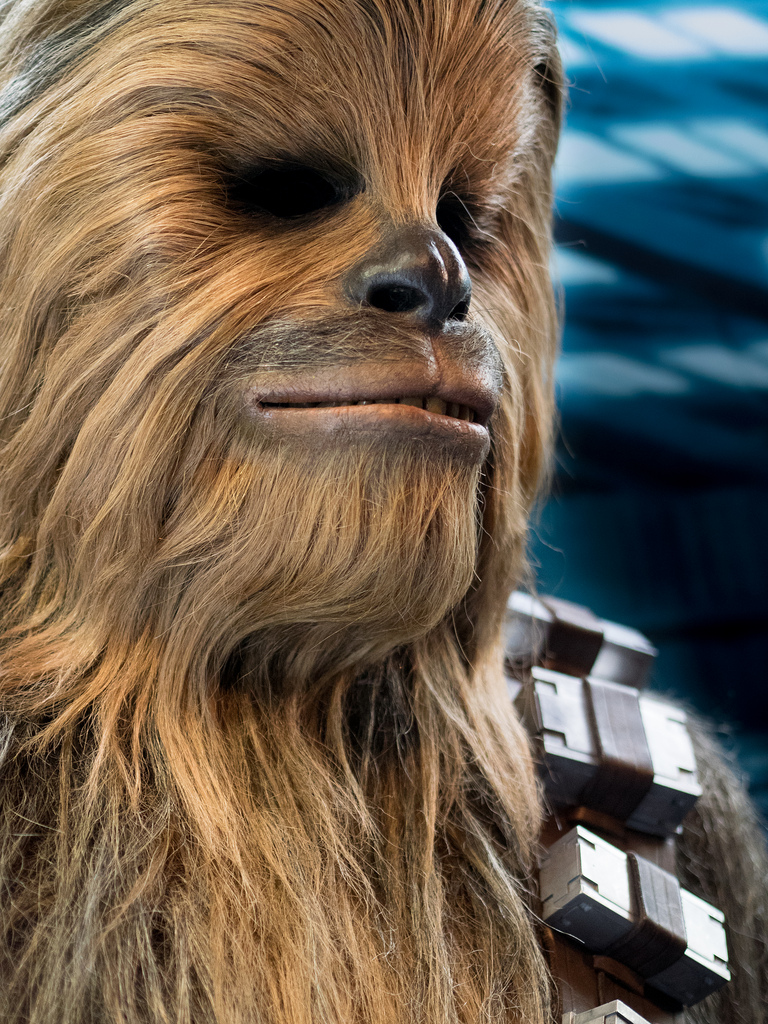 Be the Wookie. 